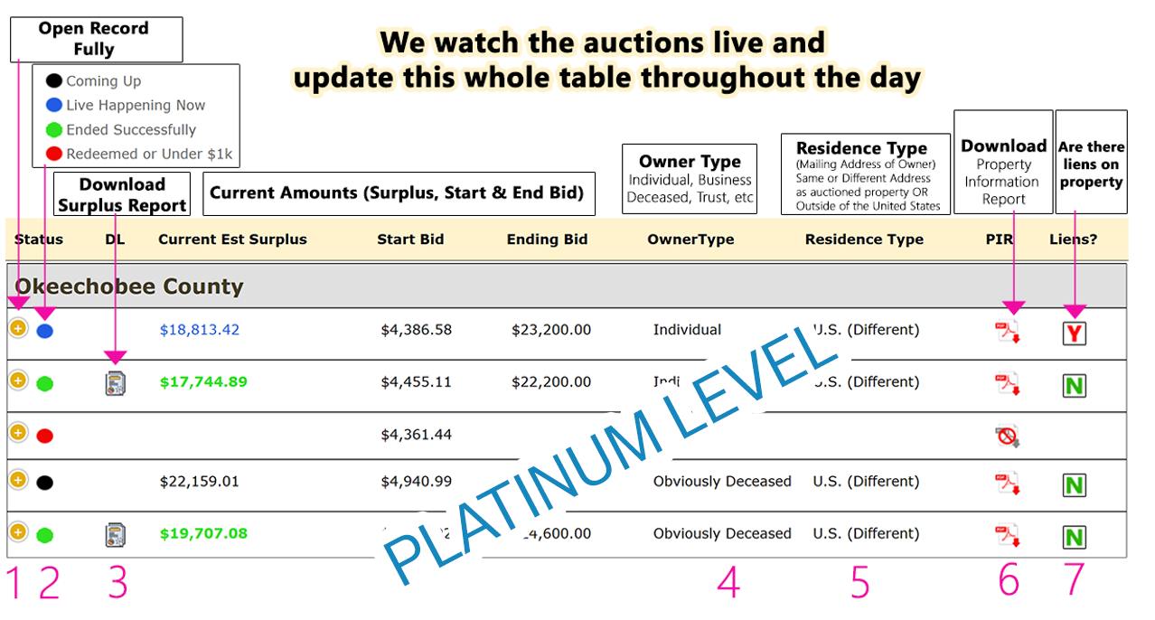 Platinum live watch table example
