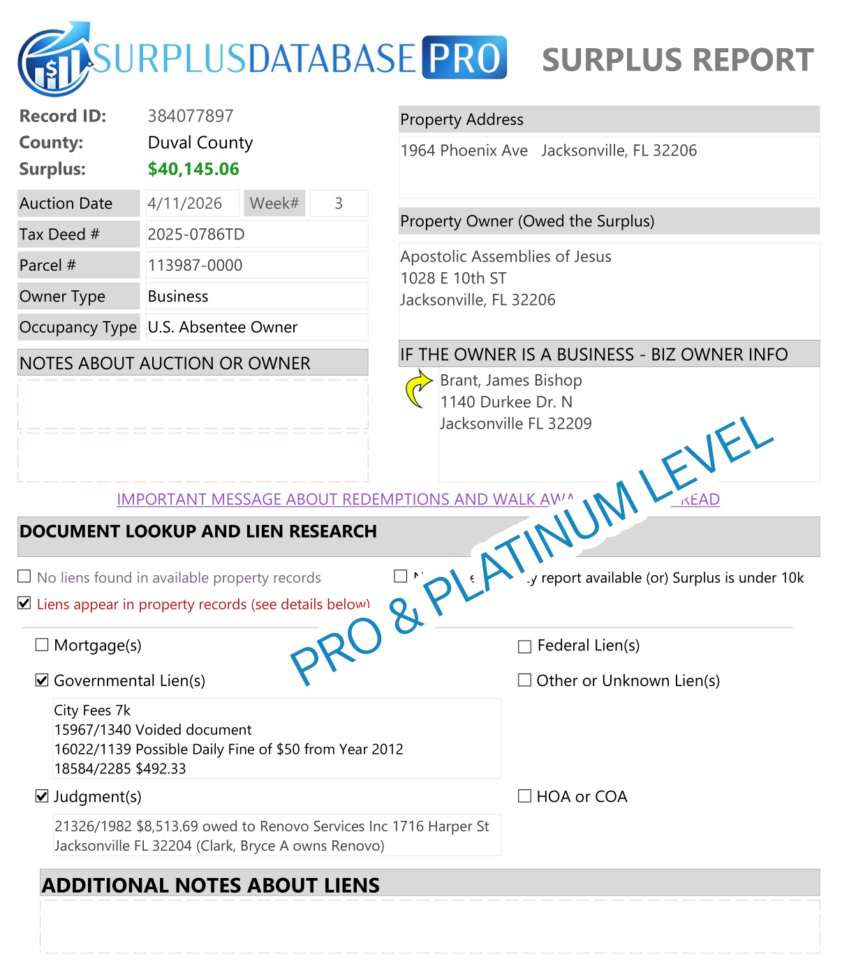 Surplus PDF Report example